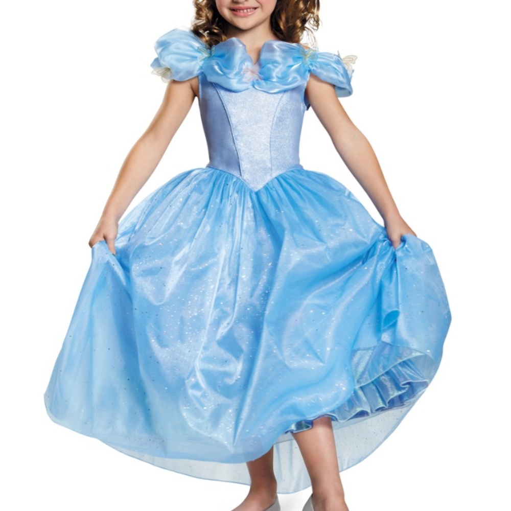 Cinderella Halloween Costume